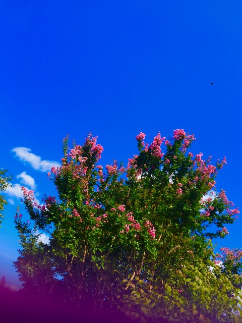 番組ブログ ラジオ福島