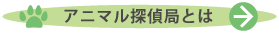 アニマル探偵局とは