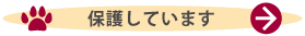 保護しています