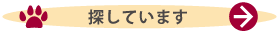 探しています