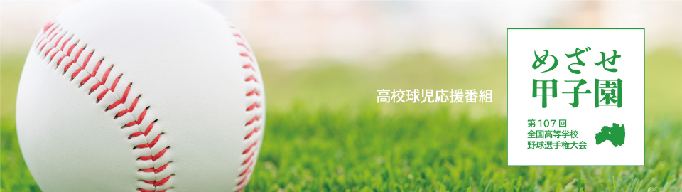 めざせ甲子園