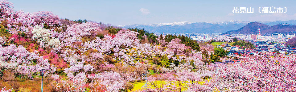 花見山