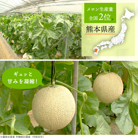 Roji MOMAデザイン　メロン急須 Roji MOMAデザインメロン急須