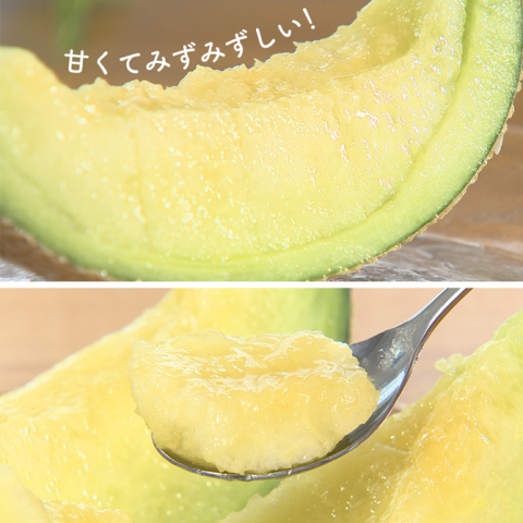 2023.05.31(水)放送「熊本県産 はねだしマスクメロン／1.5kg×3玉